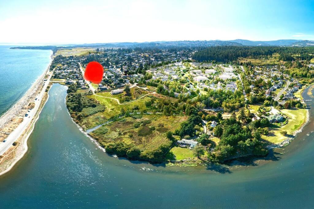Esquimalt Lagoon Life Victoria